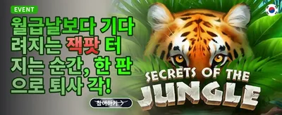 VIP 전용 주간 무제한 캐시백 promotion banner