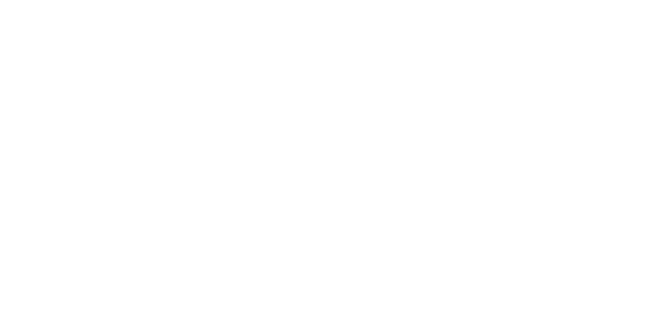에이스 뱅크 logo